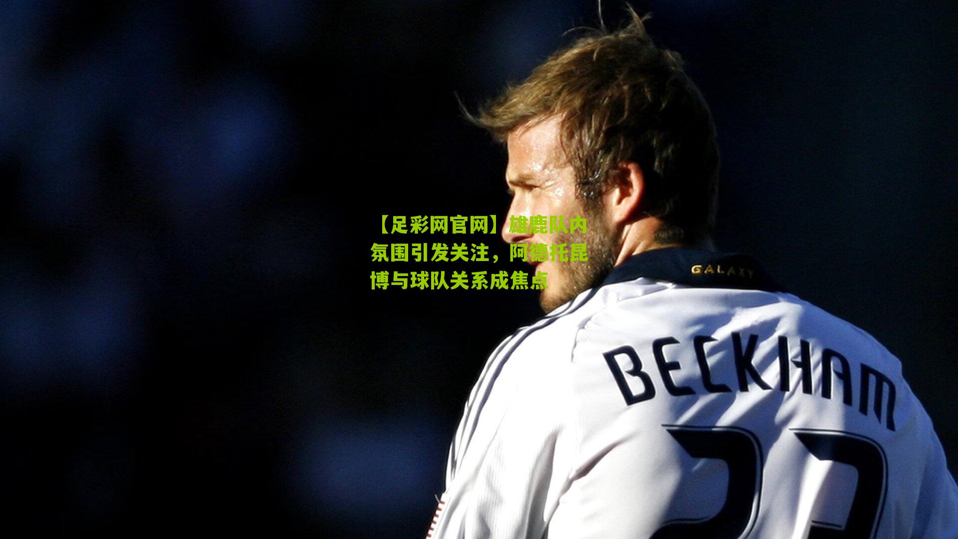 雄鹿队内氛围引发关注,阿德托昆博与球队关系成焦点